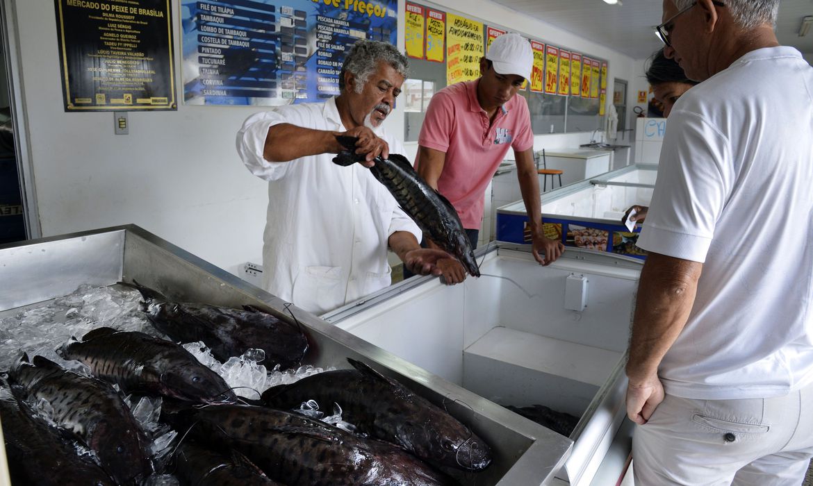 A tradição de comer peixe na sexta-feira Santa, leva consumidores aos mercados de peixe na capital (José Cruz/Agência Brasil) (Foto: José Cruz/Agência Brasil) Fonte: D24am. Leia mais em https://d24am.com/saude/doenca-urina-preta-pode-estar-relacionada-a-consumo-de-frutos-do-mar/