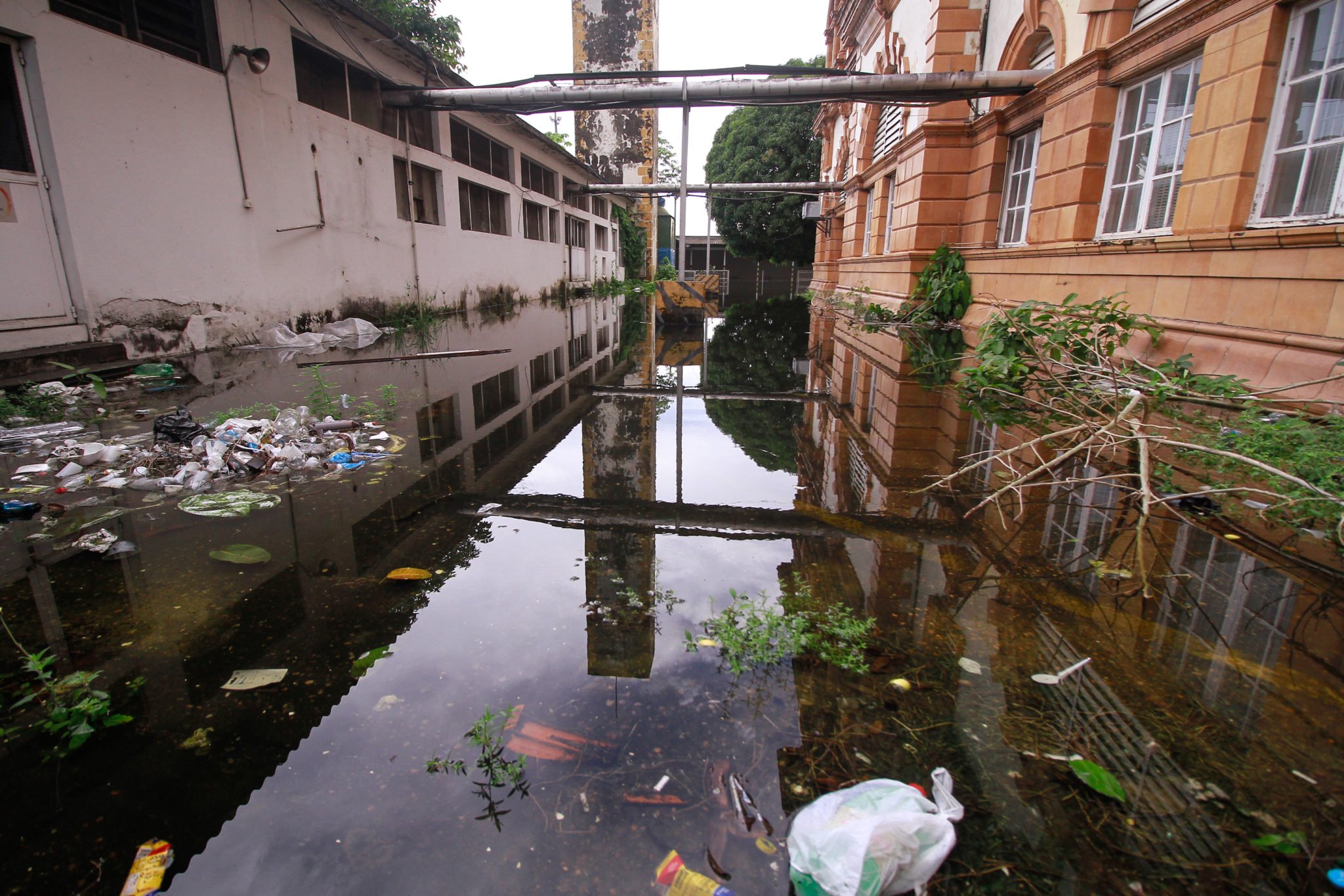 (Foto: Marcely Gomes / Semcom)