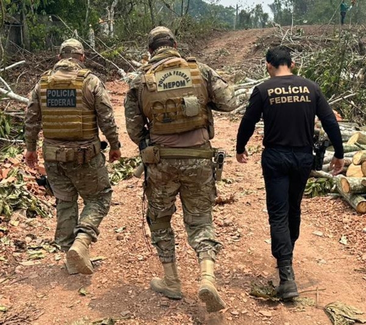 Foto: Divulgação/PF