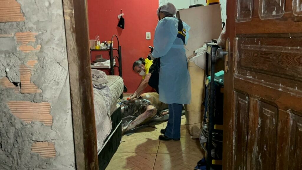 Foto: Divulgação