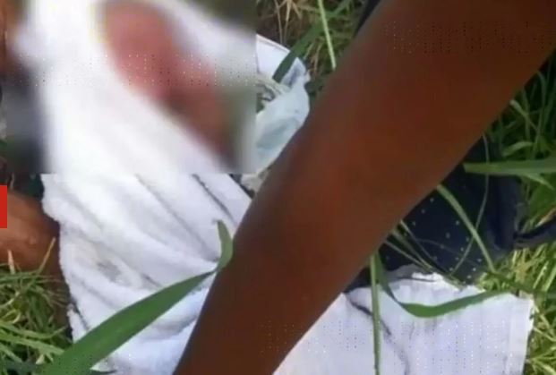 Foto: Divulgação.